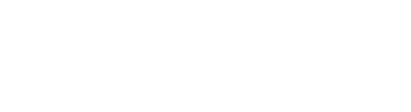ZARMED